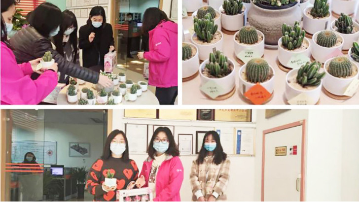 三八婦女節(jié)，向閃閃發(fā)光的環(huán)保女神們致敬